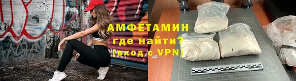 индика Медвежьегорск