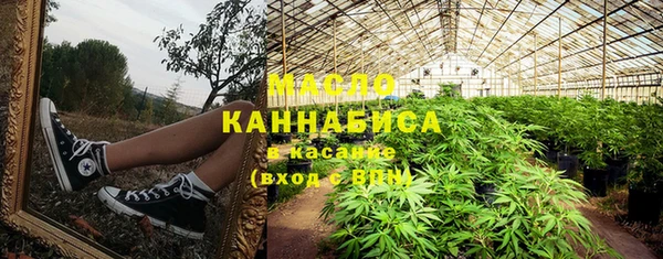 сатива Михайлов