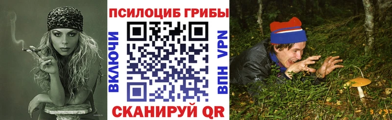 Псилоцибиновые грибы мухоморы Задонск